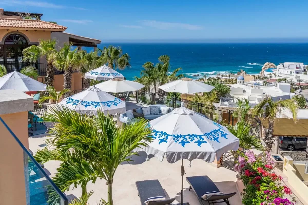 Cabo's Liquid Gold: Your Exclusive Wine Tasting Journey Beyond the Usual
