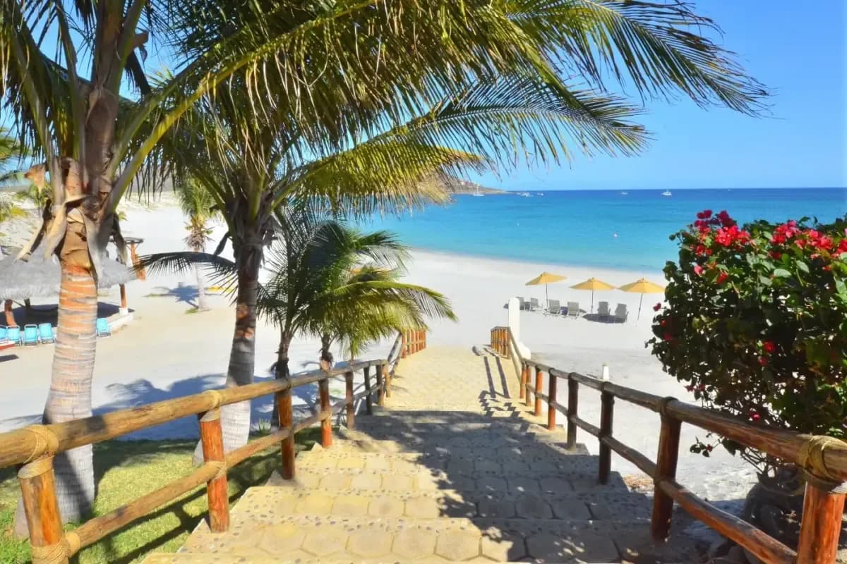 Beach path at Elevate Your Escape: Find Your Premier Luxury Fitness Trainer in Cabo San Lucas for 2026 with palm trees