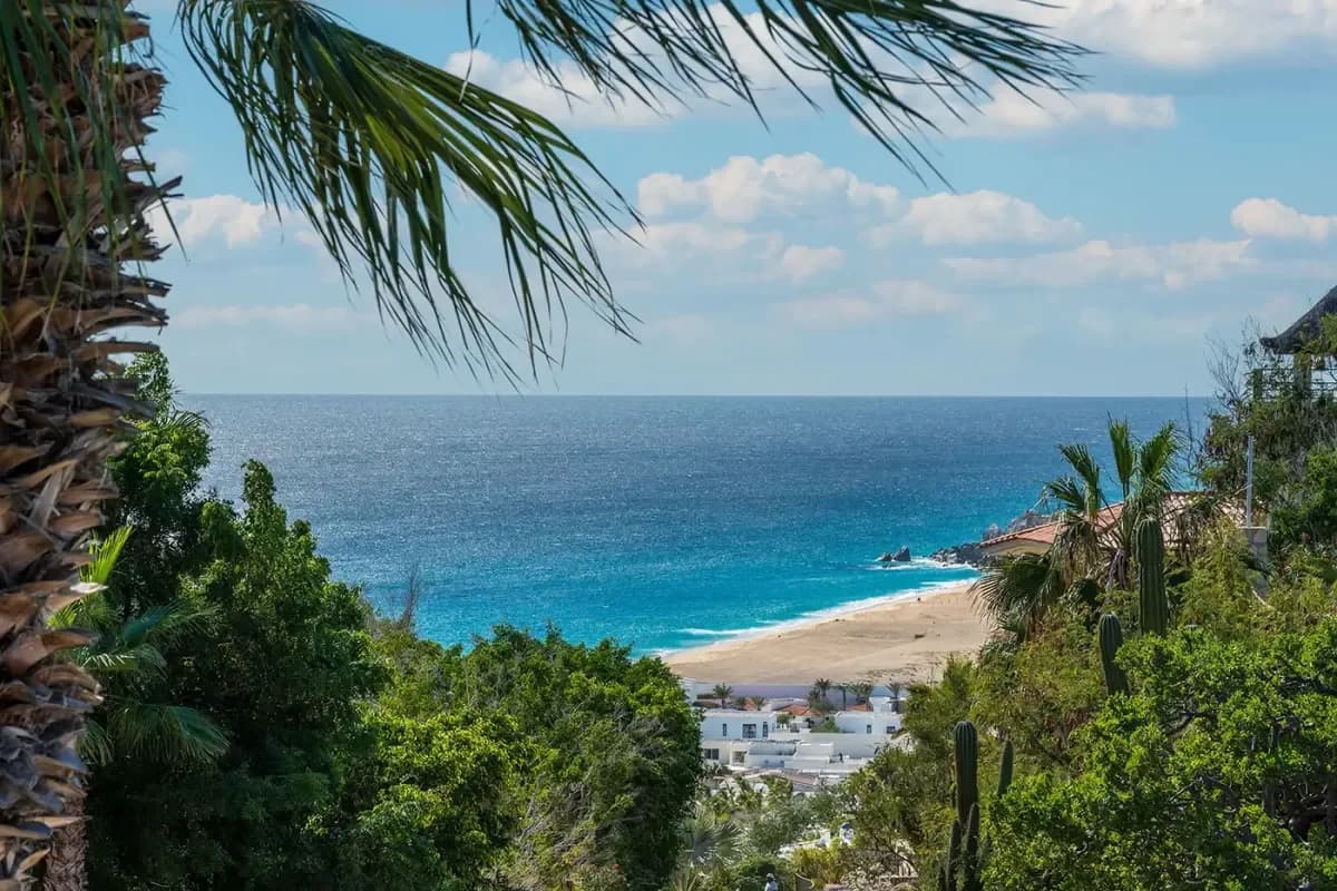 Ocean view at Costa Azul Photos with beach and palm fronds