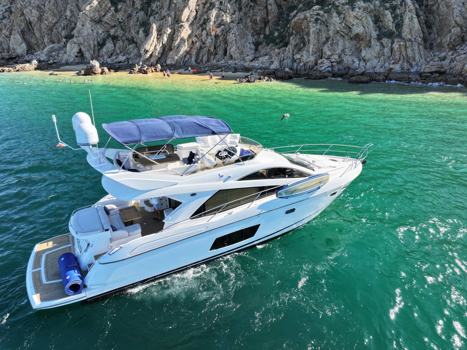 Chasing Giants, Finding Soul: Your Definitive Guide to Cabo San Lucas Catch and Release Fishing in 2026